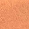 Biarritz Leather - Image 20